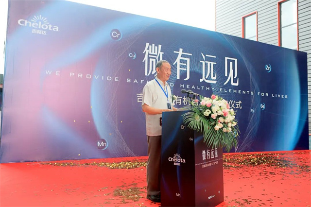 pp����ģ��������