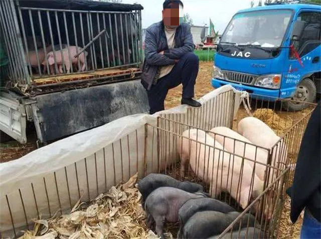 ��������������취