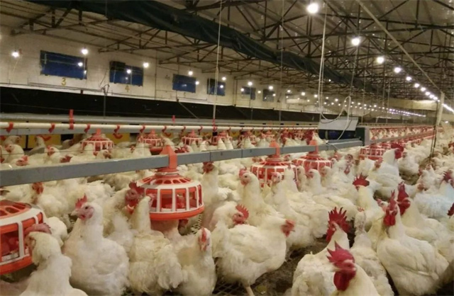 ���Ԥ�����������ۺ���