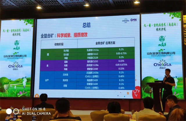 ����Ӫ������ɳ��