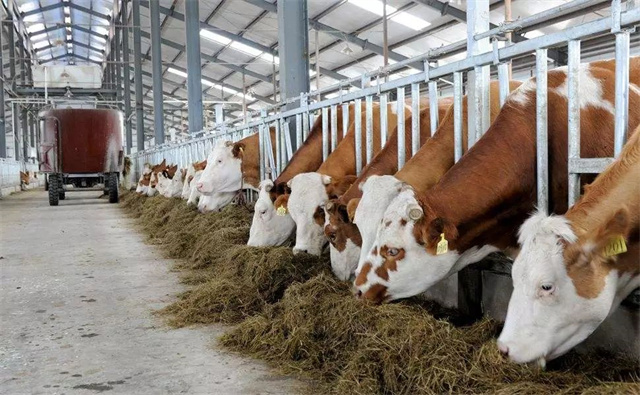 �й����Ϸ�չ��̳