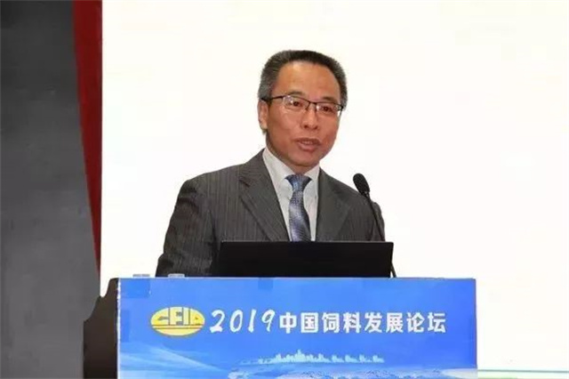 �й����Ϸ�չ��̳