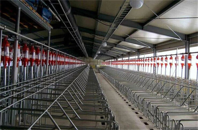 �ִ�����ֳ��