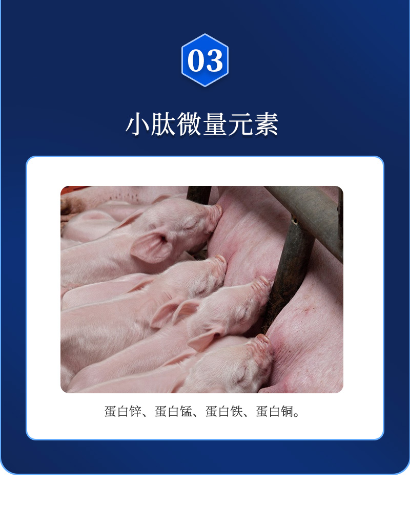 ��ά��ʦ����_04