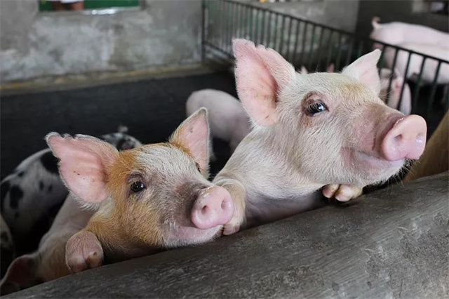 ������ҵ�˴����