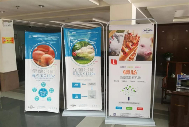 ���ﰲȫ���濹΢Ӫ������ɳ��