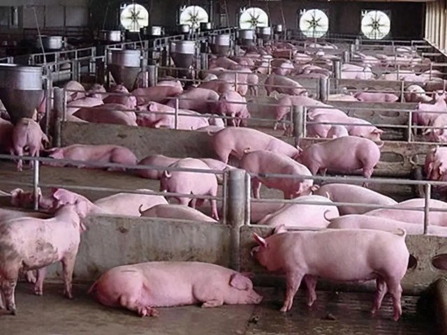 δ����������