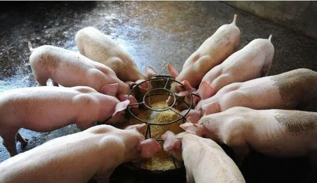 ����ע����Щ����