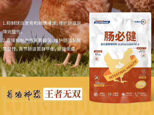 300g-1kg��Ͷ���������Ļر��������ؽ����ۺ�Ч�����
