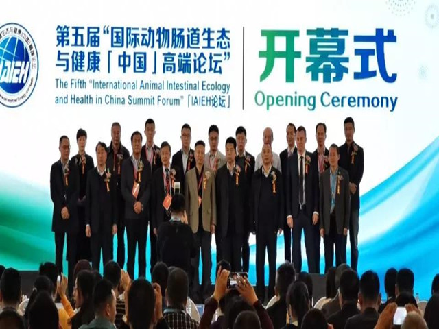 ������̳ح��Լ������������ҵս��ת��