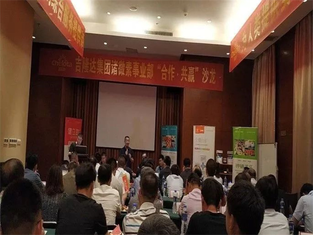 pp����ģ��������������΢����ҵ����������Ӯɳ��