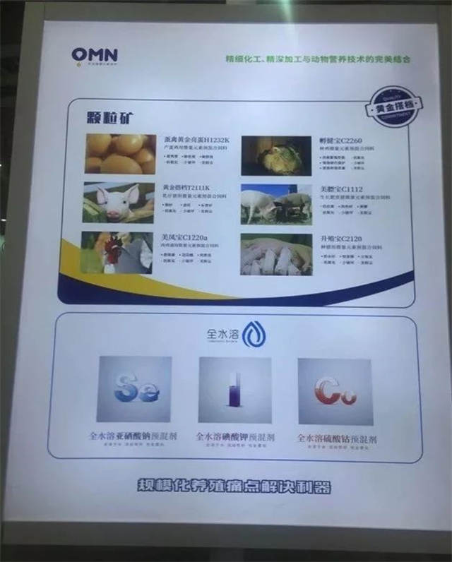 �󲩻�pp����ģ��������չ��