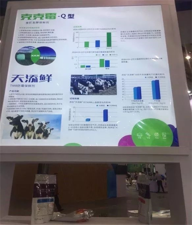 �󲩻�pp����ģ��������չ��