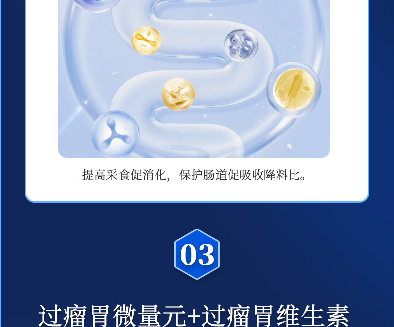ţħ������_04