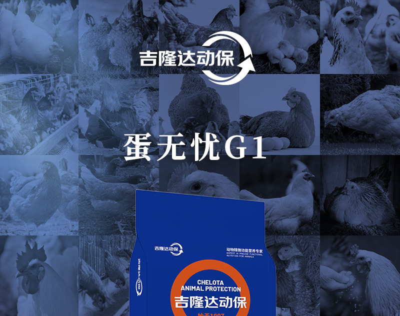 ������G1��������ҳ_01