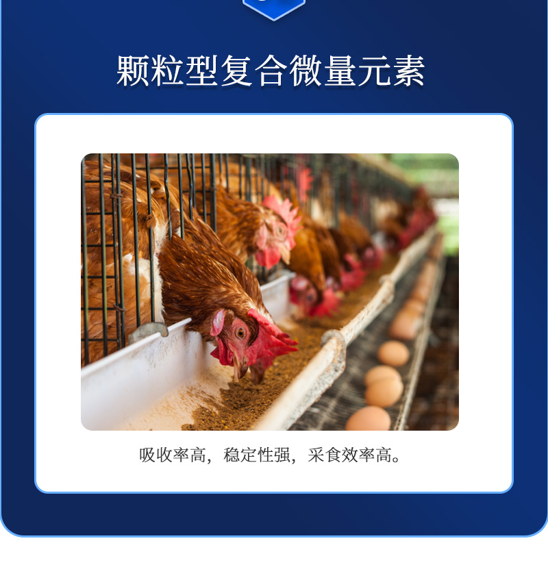 ������G1��������ҳ_04