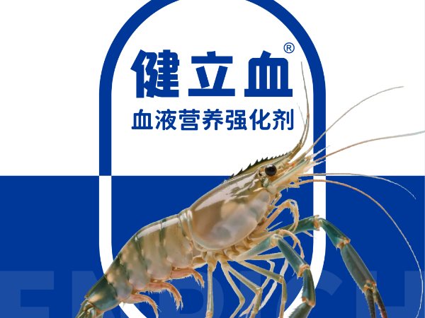 ��ϺҪ��Ѫ��͵��Ӧ�����߲ԭ������Ϊ����