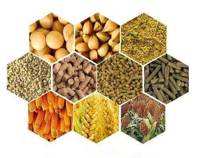 ����������Ӱ��