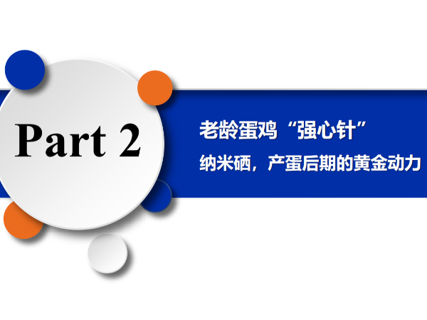 ���䵰����ǿ���롱����Ħ�������������ڵĻƽ���