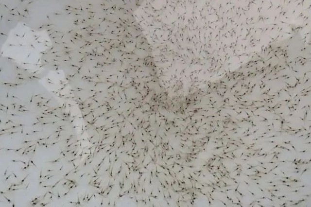 ��Ϻ����ǰ��׼������