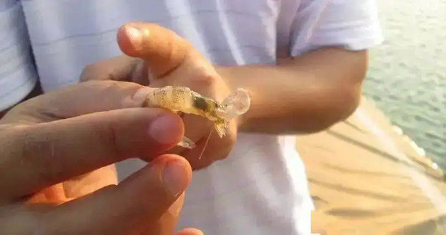 ��Ϻ�ɿǲ����ԭ��