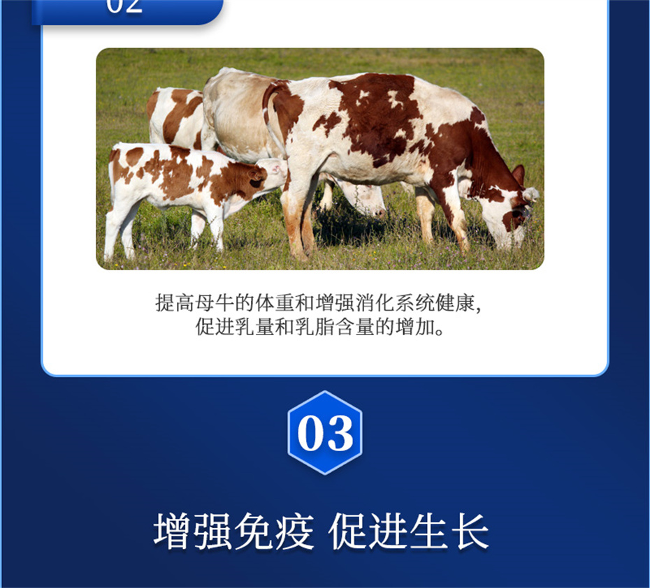 ppģţӼѪţƷ