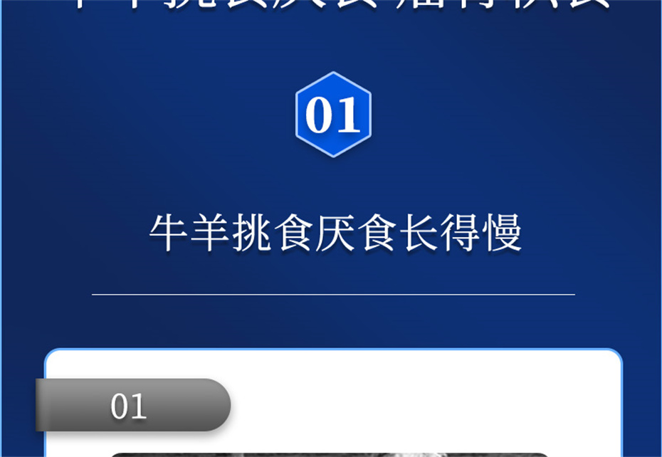 ppģţӼţ׳챦Ʒ
