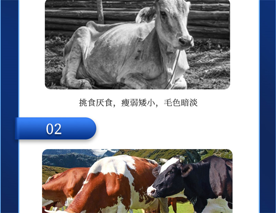 ppģţӼţ׳챦Ʒ