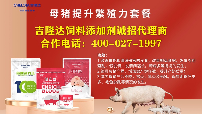 提升母猪繁殖力 提升母猪繁殖力