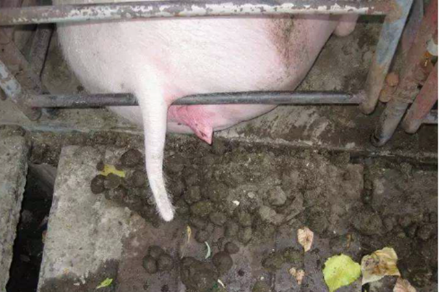 ĸ�����ص�����