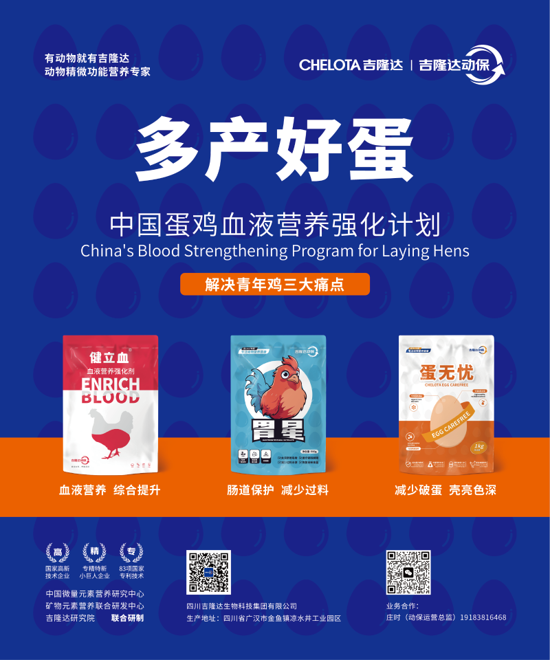 20250214青年鸡论坛-01 20250214青年鸡论坛-01