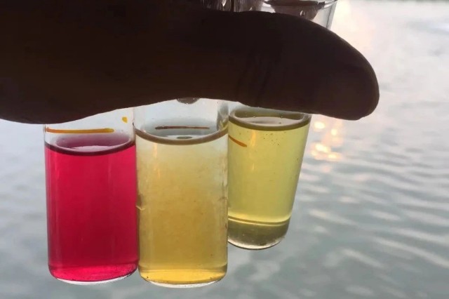 对虾游塘是什么原因 对虾游塘是什么原因