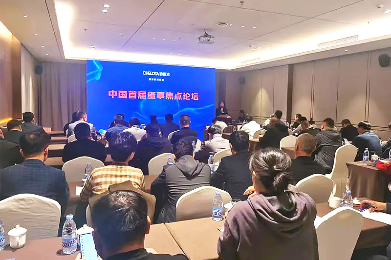 pp电子模拟器官网主办中国首届蛋事焦点论坛 pp电子模拟器官网主办中国首届蛋事焦点论坛
