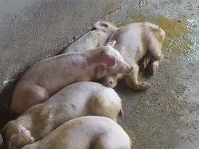 2022궬к֢״ղأ