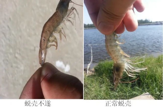 ��Ϻ�ѿǲ�����ô��