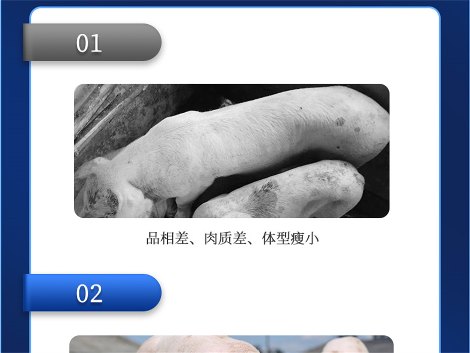 ppģӼĸͨƷ