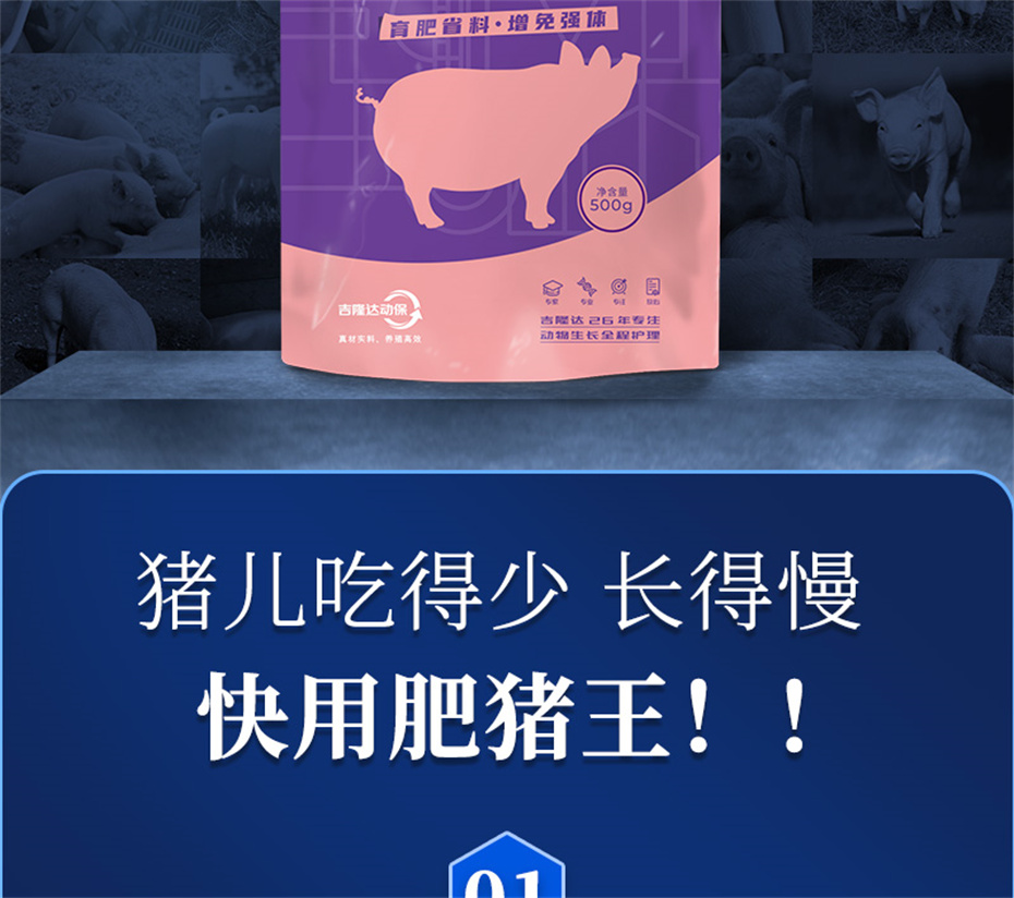 ppģӼƷ