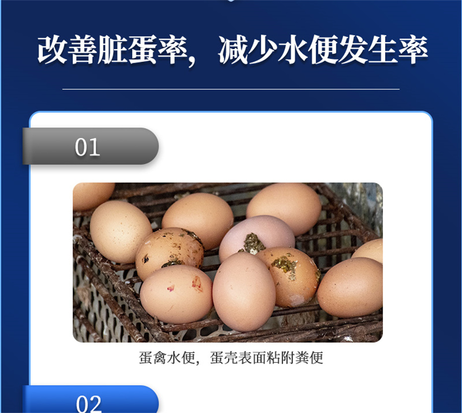 ppģӼǿǱƷ