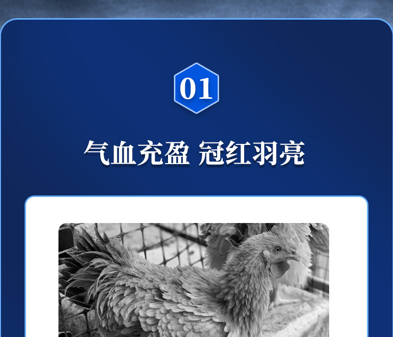 ppģӼɫƷ