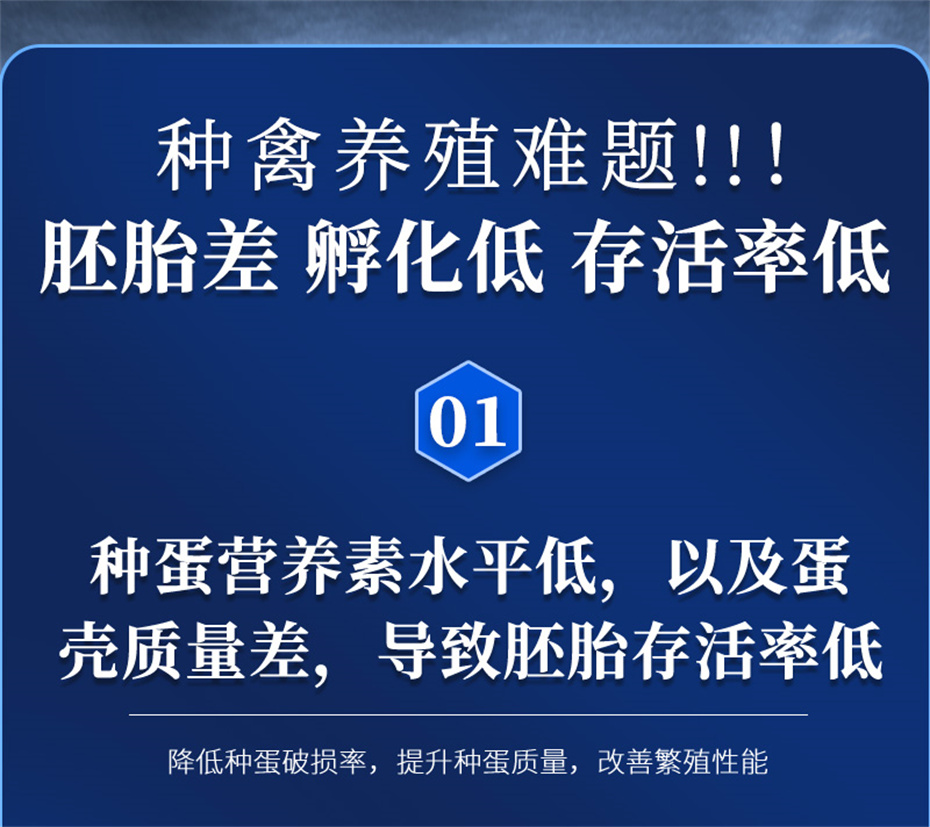 ppģӼƷ