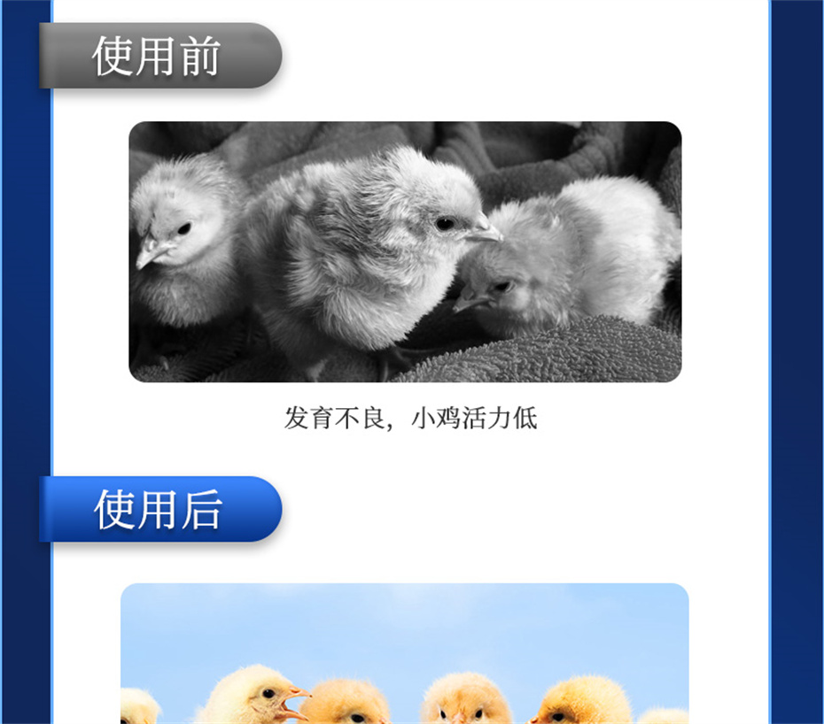 ppģӼƷ