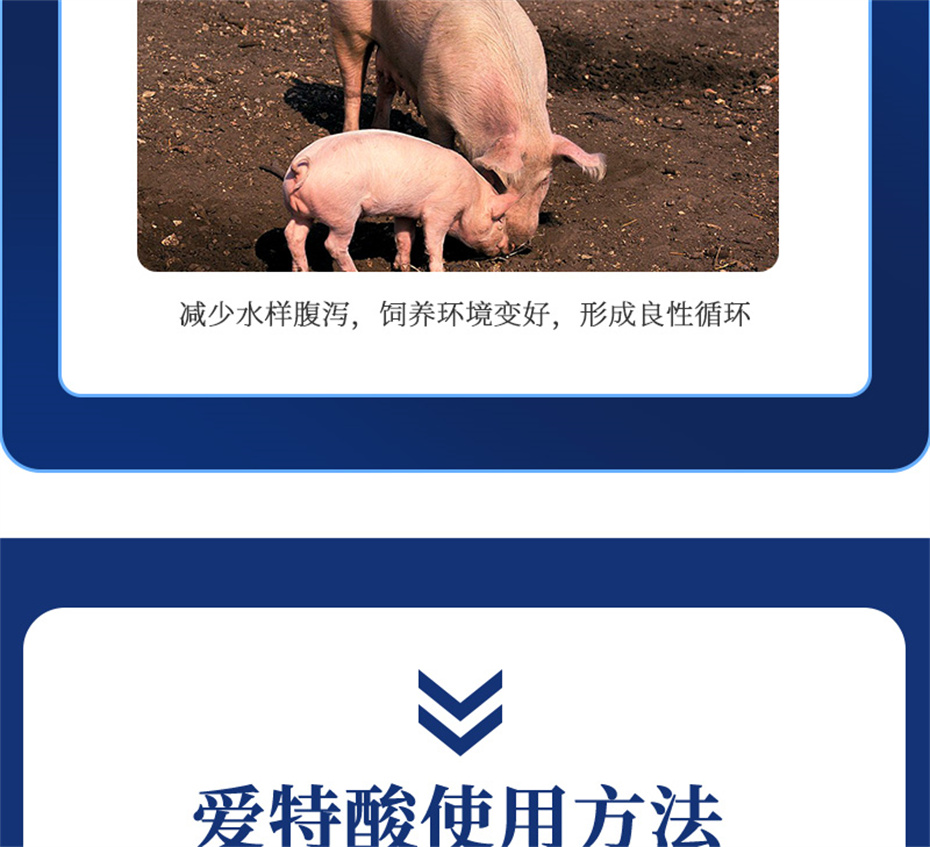 ppģӼƷ