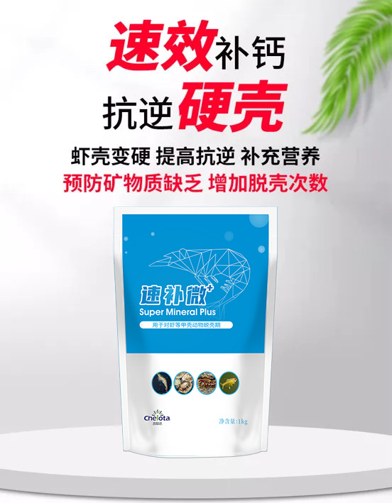 pp����ģ���������ٲ�΢+����