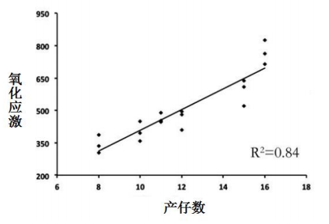 WPS图片(7) WPS图片(7)