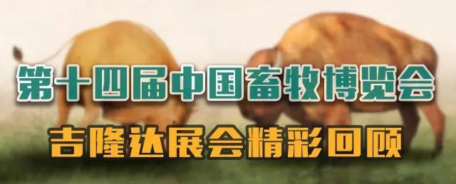 pp电子模拟器官网参展中国畜牧博览会 pp电子模拟器官网参展中国畜牧博览会