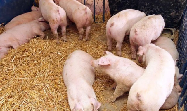 ����ˮ�ײ���ô��