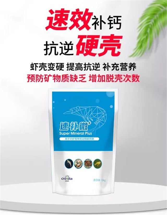 pp����ģ���������ٲ�΢+