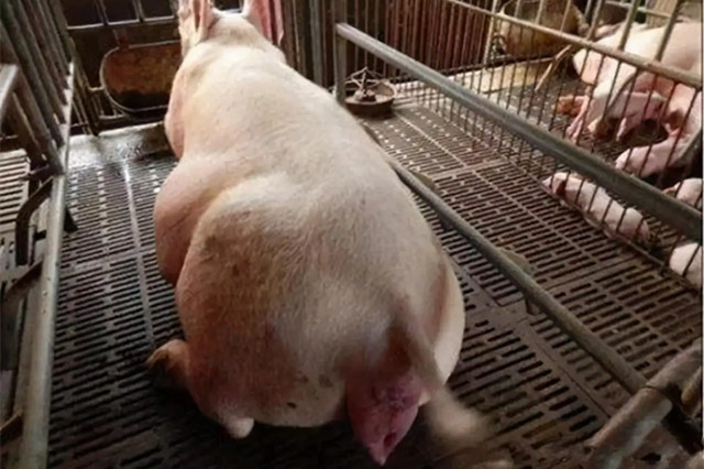 ĸ�����̹���������