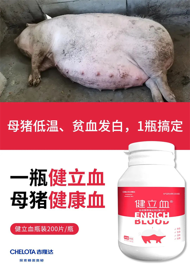 饲料添加剂健立血 饲料添加剂健立血