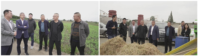 基于稻-畜种养循环的稻田绿色低碳高效生产技术集成及产业示范 基于稻-畜种养循环的稻田绿色低碳高效生产技术集成及产业示范